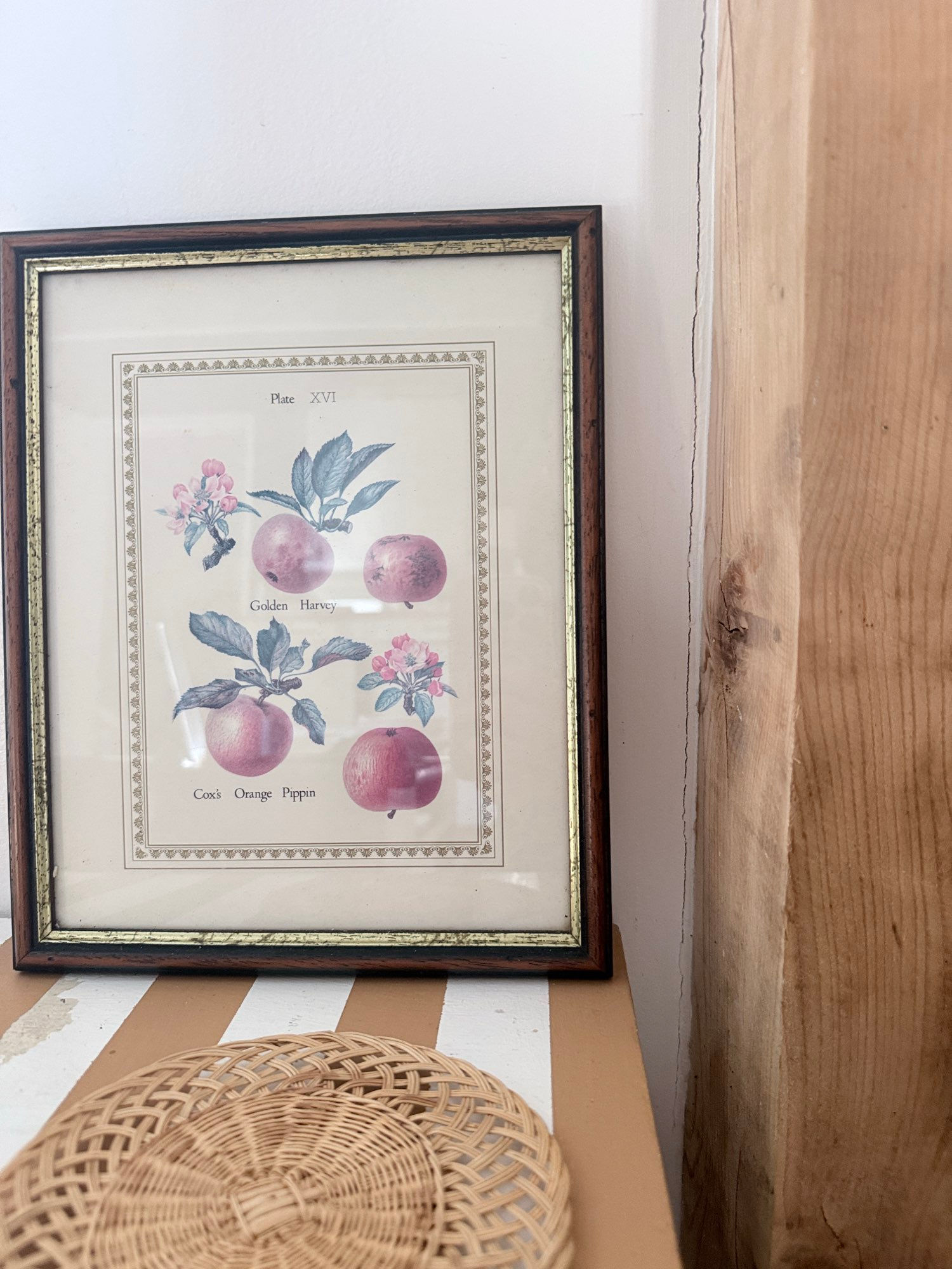 Cadre fruits d'automne
