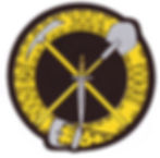 logo AFEVST