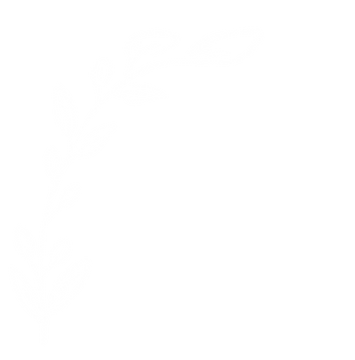CURVEDLEAF.png