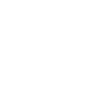 90leaf.png