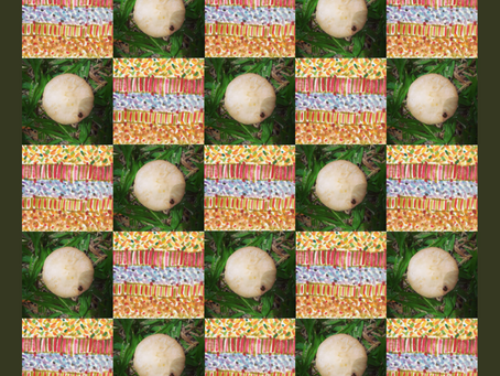 Mushroom Craze I - Lockdown Series