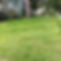 lawn care.jpg