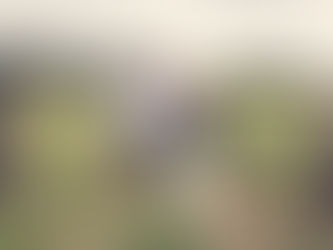 Rachel, Matt, Archie and Albie at the family farm