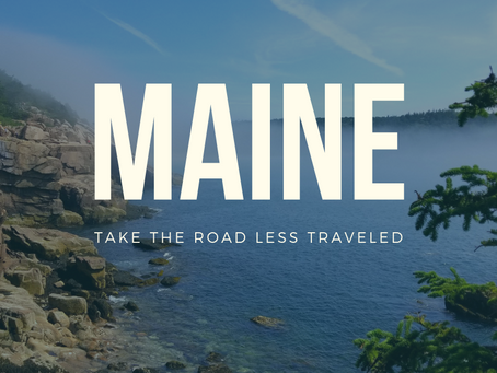 Conquering Fortnite 1 Trip at a Time