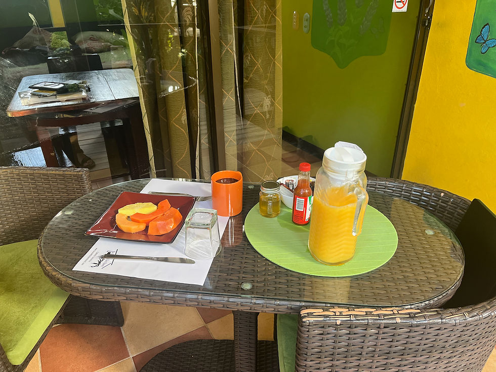 breakfast at Casa de las Flores outside my room