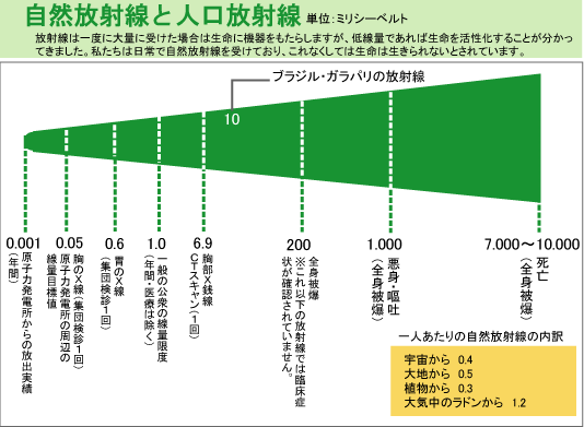 image4.gif