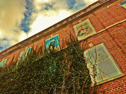 Beautifying abandoned buildings