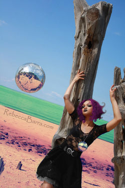 Disco Fever