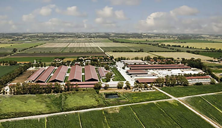 Azienda