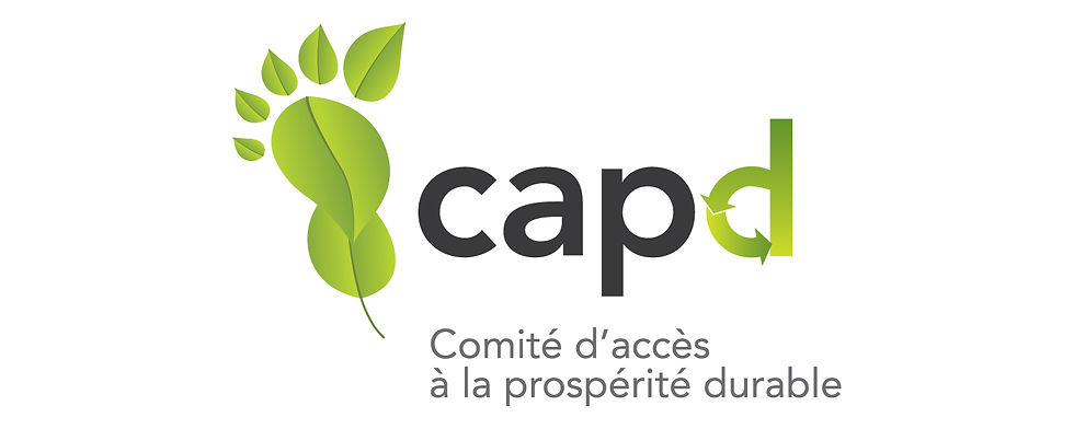 Logo CapD vertical