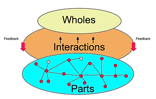 CAS-parts-interact-whole.png
