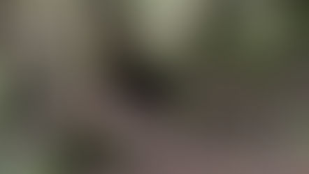 Alpine Lakes Wilderness #8 - Marten Lake