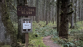 Alpine Lakes Wilderness #6 - CCC Trail
