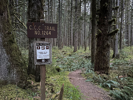 Alpine Lakes Wilderness #6 - CCC Trail