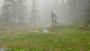 Alpine Lakes Wilderness#15 - Rain or Shine to Island Lake