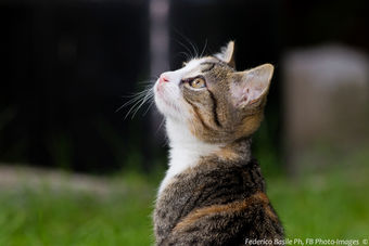 Copia di _1D23880.jpg