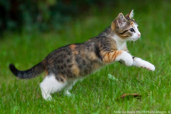 Copia di _1D21467.jpg