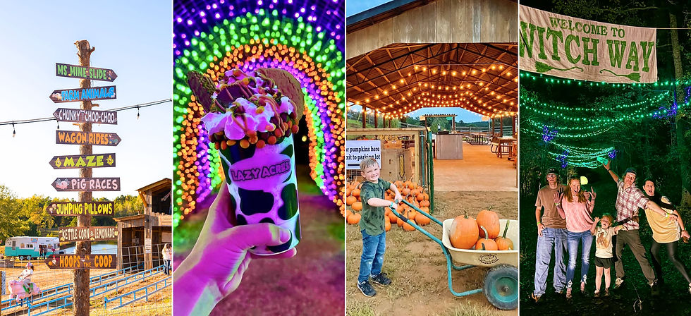 Best Pumpkin Patch in Mississippi (2).jpg