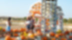 Robinson Fall Festival Austin Temple