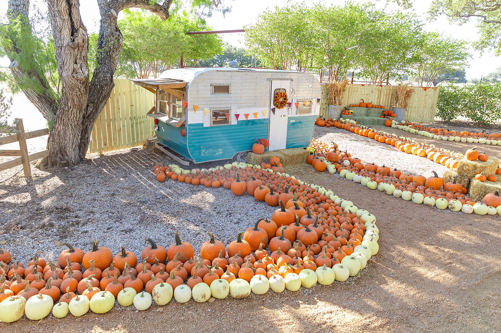 Things to do this fall San Antonio