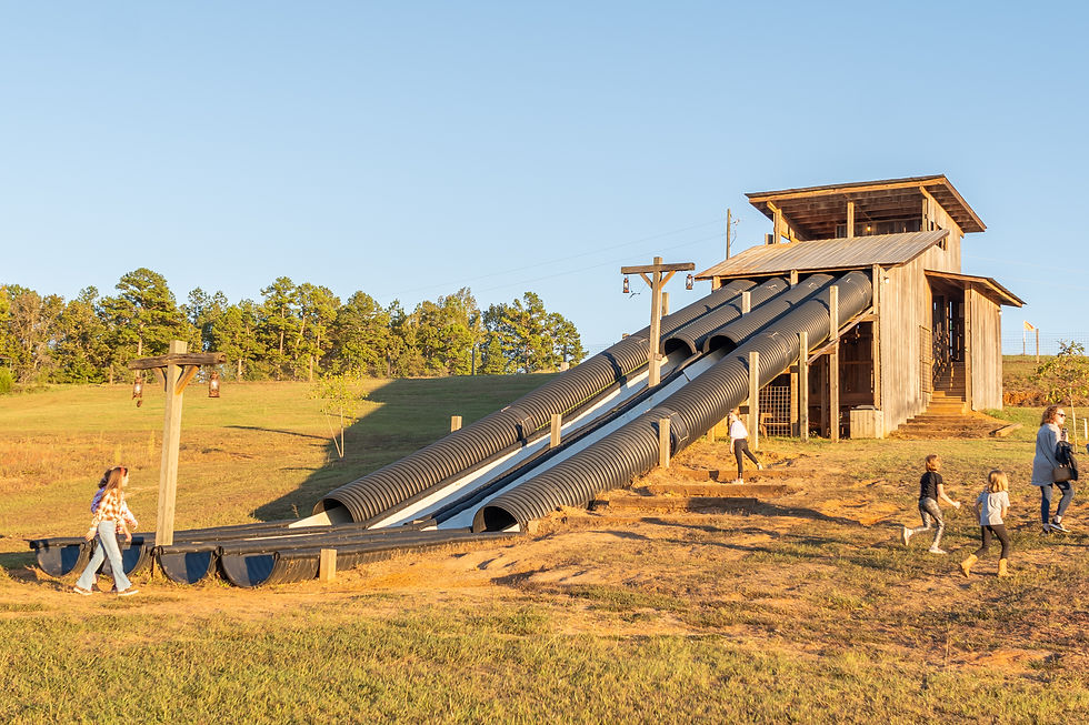 Slide - Lazy Acres .jpg