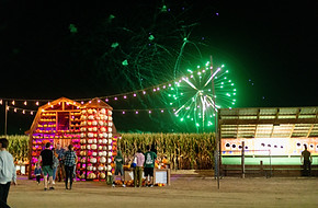 Pumpkin Patch Greeley .jpg