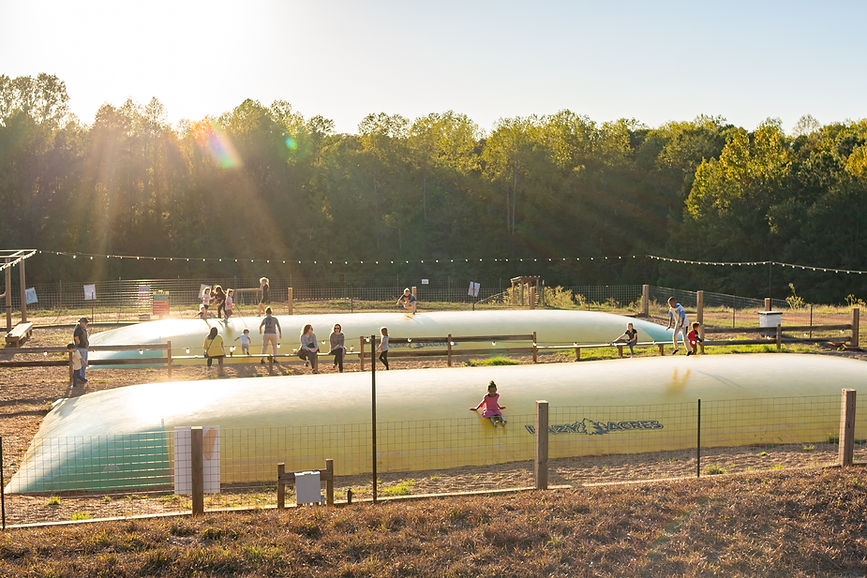 Jumping Pillow 3 - Lazy Acres .jpg