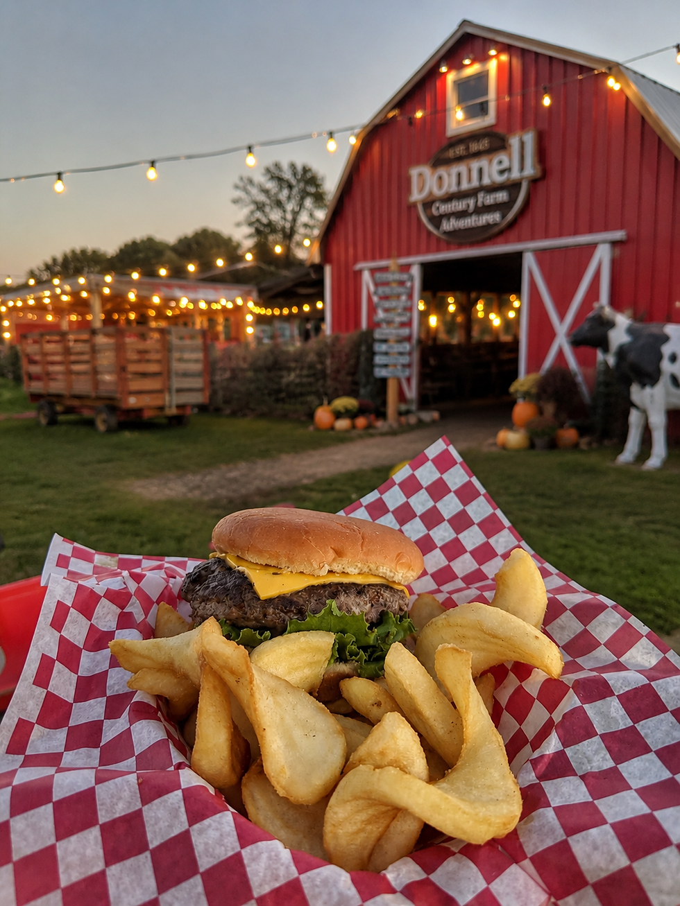 Festival Food