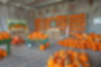 Pumpkins