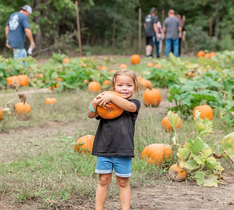 Pumpkins - Lazy Acres2.jpg