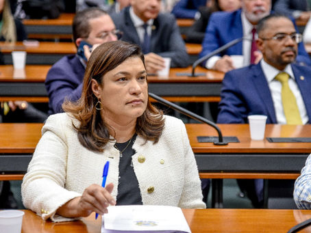A luta pelos direitos políticos das mulheres no Brasil e sua baixa representatividade na política