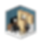 Size models-03.png