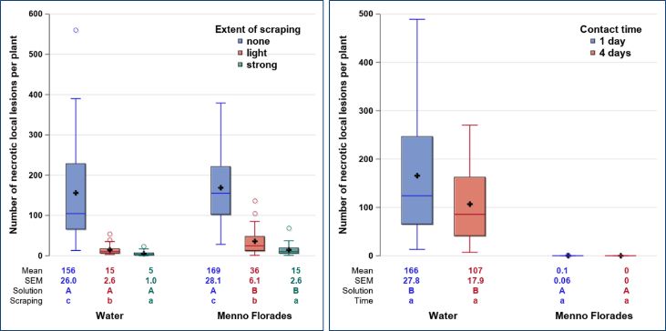 Abb. 4: Wirksamkeit einer Desinfektionsmatte in Kombination mit entionisiertem Wasser und Menno Florades (4 %, Menno-Chemie Vertriebs mbH, Norderstedt, Deutschland) bei mit dem Tomato brown rugose fruit virus (ToBRFV) kontaminierten Naturkautschukträgern in Abhängigkeit vom Ausmaß des Abstreifens der Schuhe auf der Matte. n = 24.