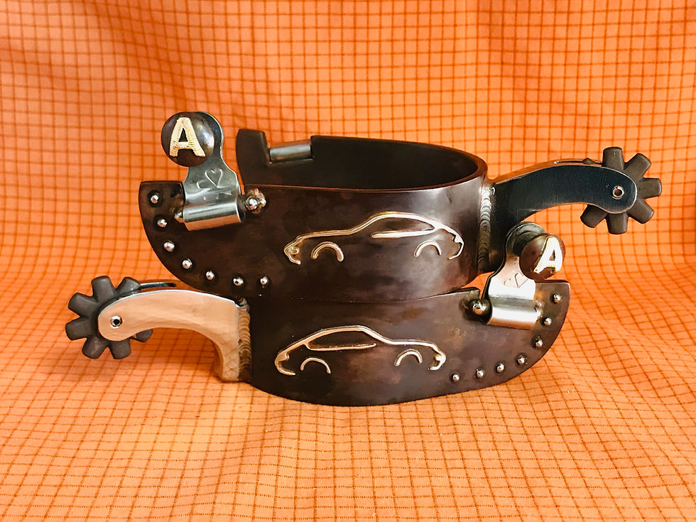 Thumbnail: Custom Spurs
