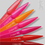 Μικρογραφία: J-LAQUE #89 NEVADA PINK 10ML 