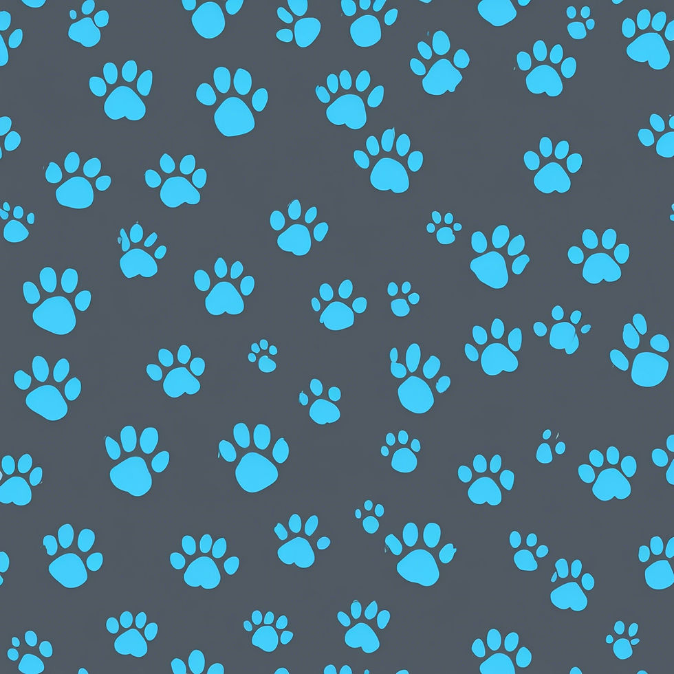 baby blue paw prints on a charcoal background.jpg
