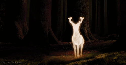 tumblr_mcnogw6pkx1rwx9lv540.gif