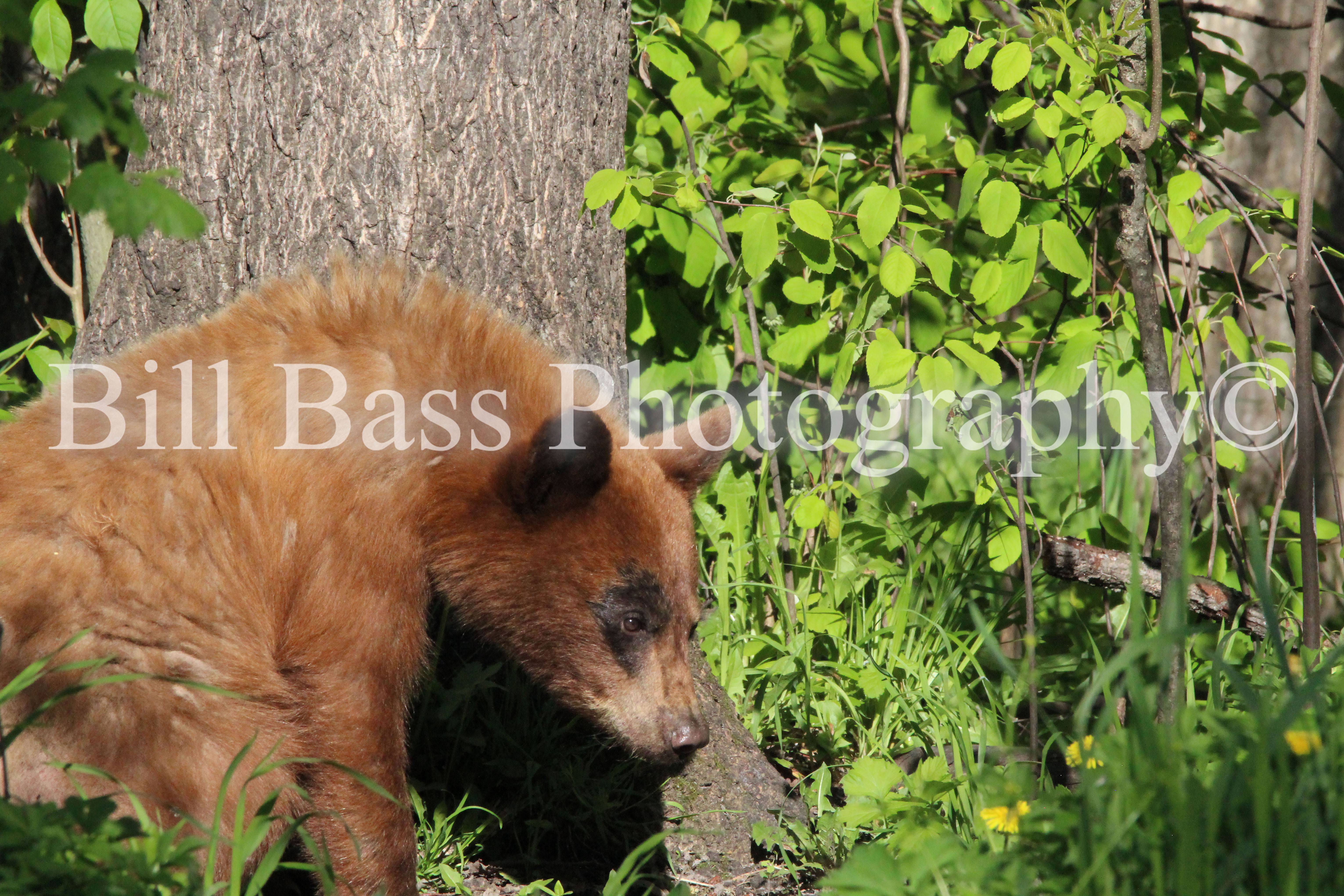 I Have My Eye on You