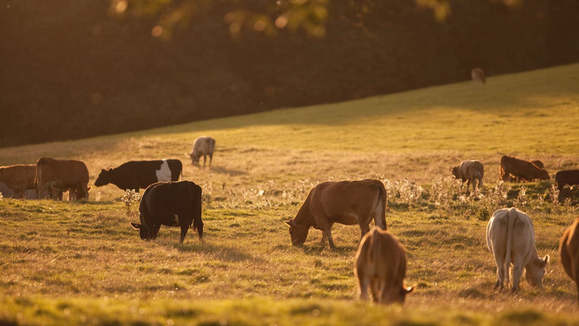 Scenic view near Hunters Crossing Estates