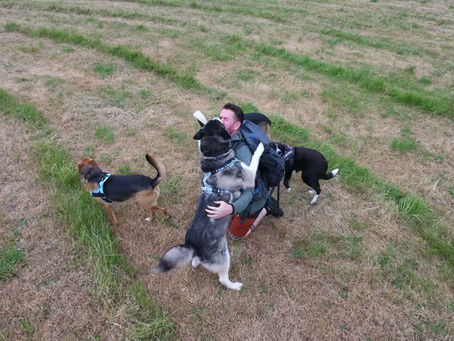 Whilst we’re on the topic of Huskies… 🐺💙