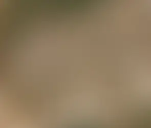 Parco Urbano di Cannas di Sotto