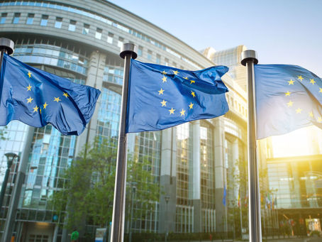 FOCUS EUROPE ACCOGLIE NUOVI COMUNI NELLA RETE: OLIENA, SANTA GIUSTA, TEULADA, TRATÁLIAS E VIGGIANO