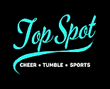 Top Spot IL Logo