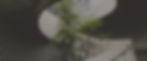 unsplash-OypnYfdiQgg_edited_edited.jpg