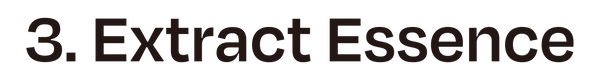 Asset 7.png