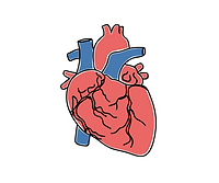 2021-07-26 (5).png