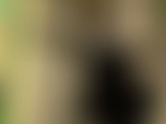 千葉市中央区Hさま邸　養生