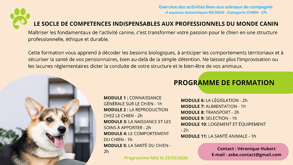 Miniature : Formation ACACED Chien en Ligne – Attestation Officielle et Reconnue