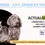 Miniature : Formation Actualisation ACACED en Ligne – Chien, Chat ou les Deux