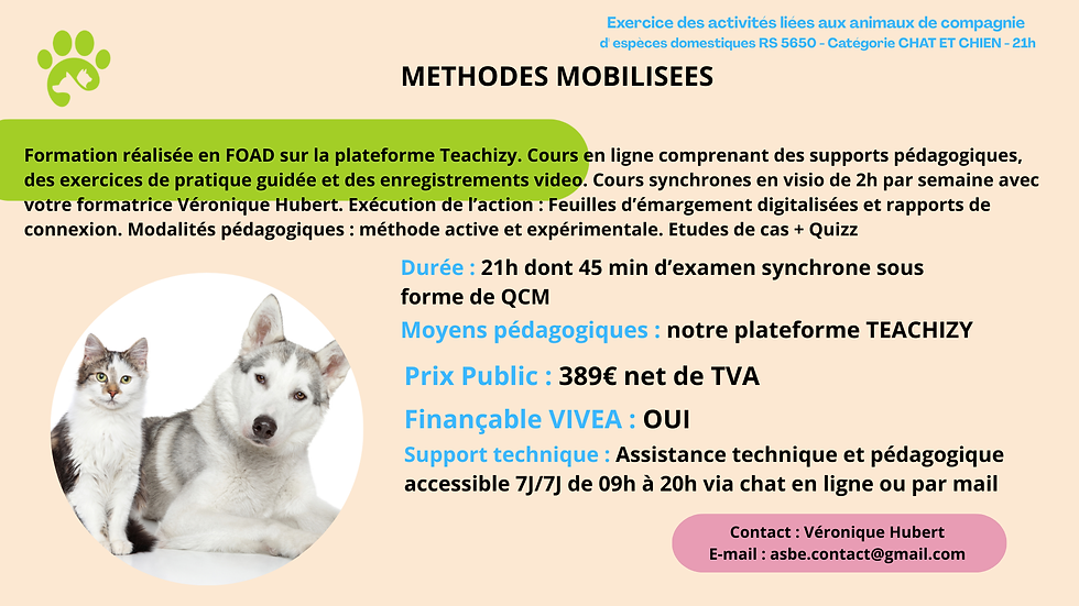Miniature : Formation ACACED Chien et Chat en Ligne – Attestation Officielle et Reconnue